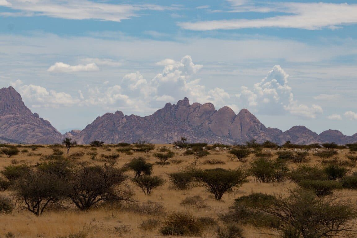 Granitkuppen am Horizont über offener Dornsavanne, darüber Quellwolken.