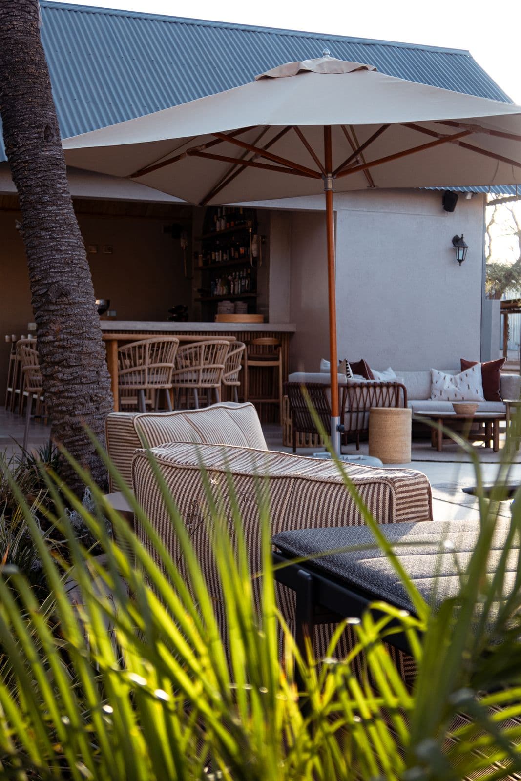 Durch Palmblätter der Blick auf die Lounge der Lapa unter dem Sonnenschirm.