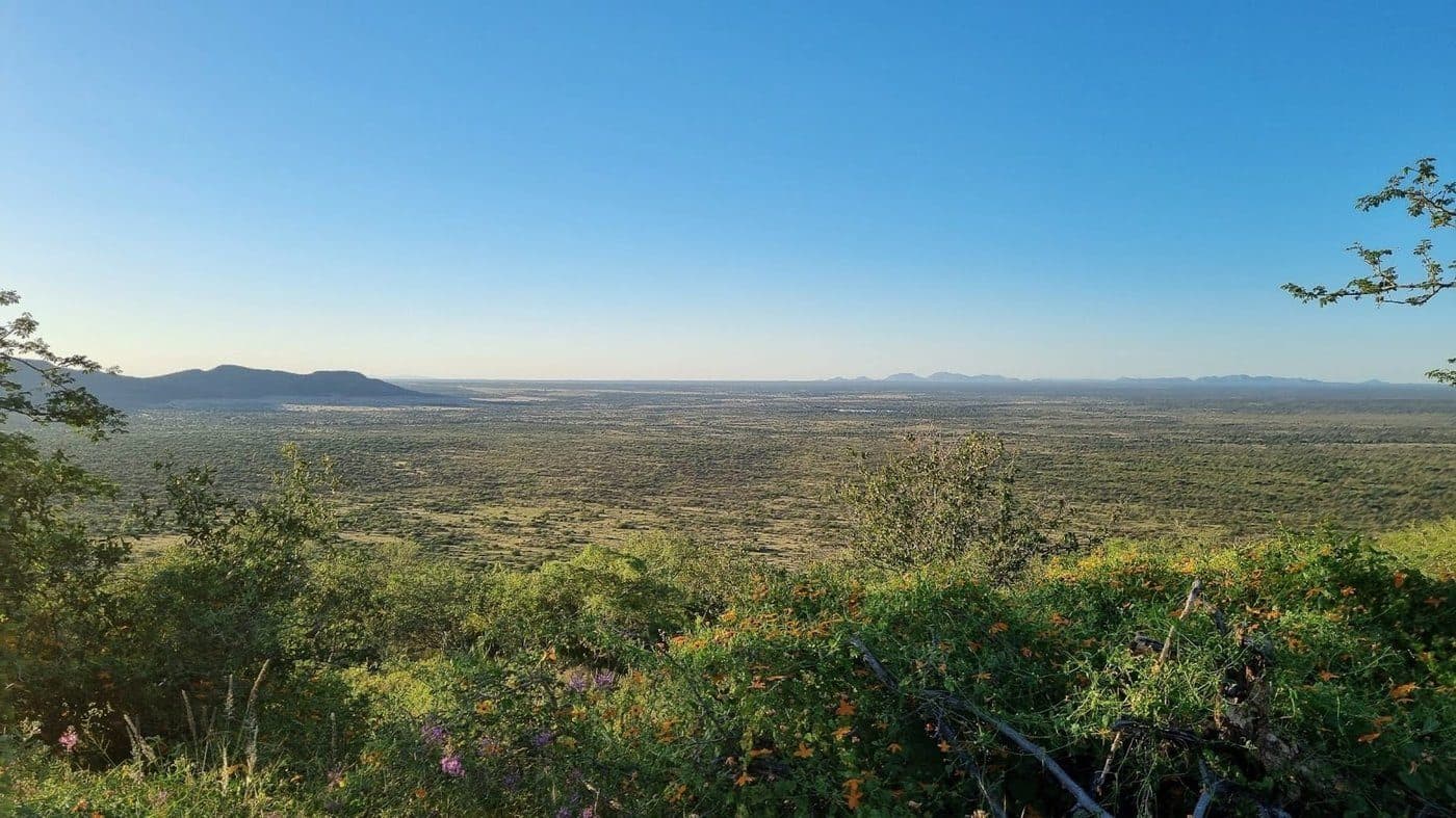 Weiter Blick von einem Hügel über das Buschland bis zu den Bergen am Horizont.