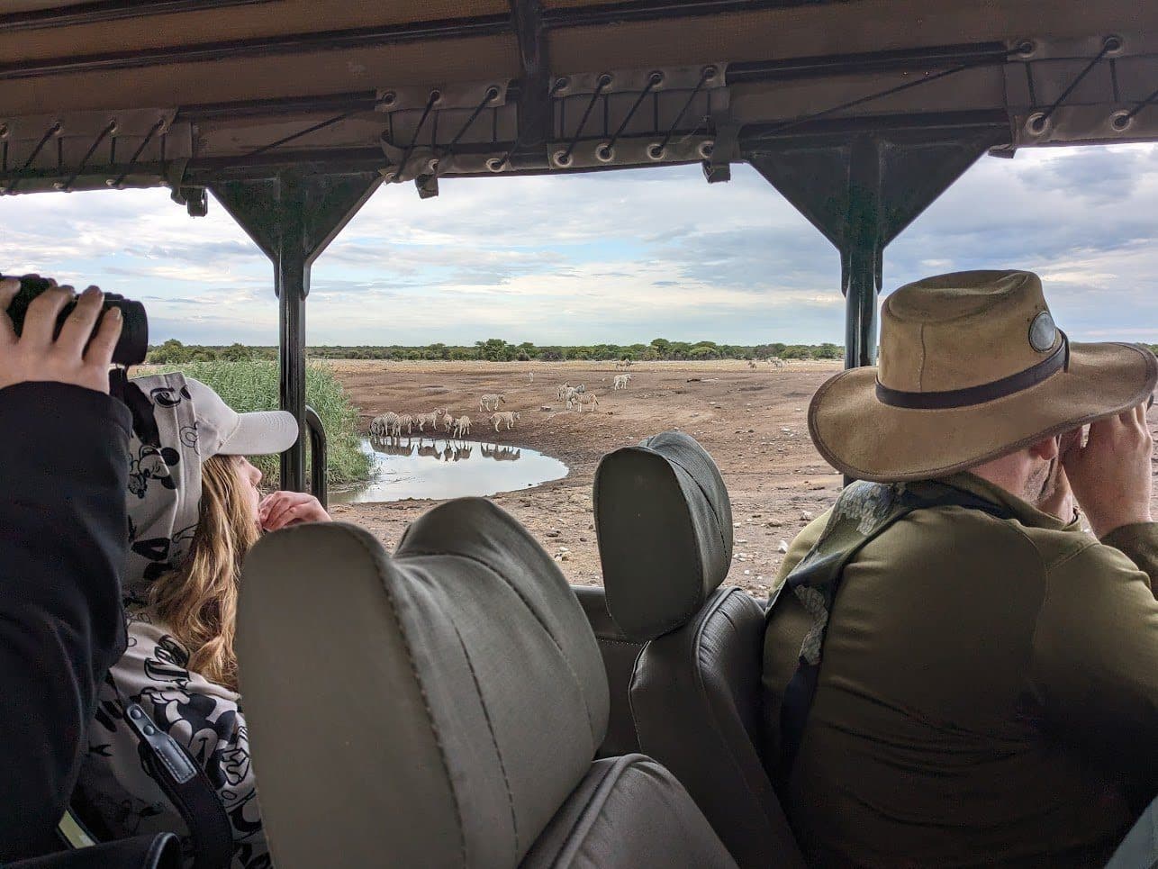 Blick aus dem offenen Wagen auf Zebras und Antilopen am Wasserloch.