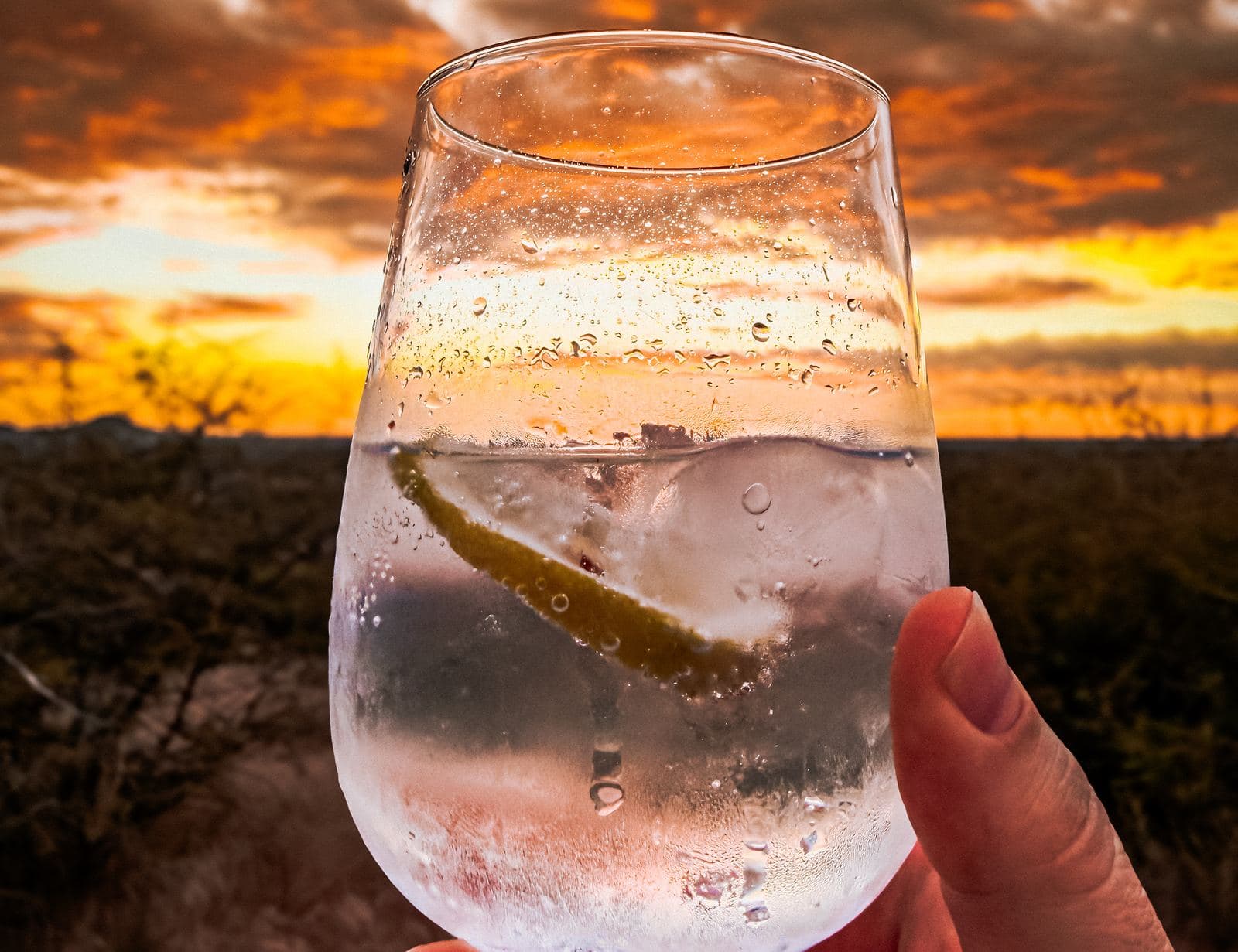 Ein Glas Gin Tonic mit Gurke vor dem glühenden Abendhimmel über dem Busch.