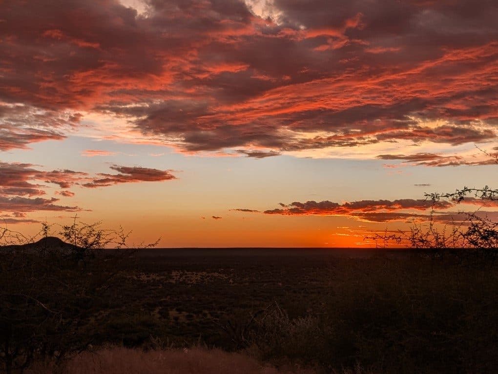 Roter Abendhimmel über der Savanne, am Horizont die Silhouetten der Büsche.